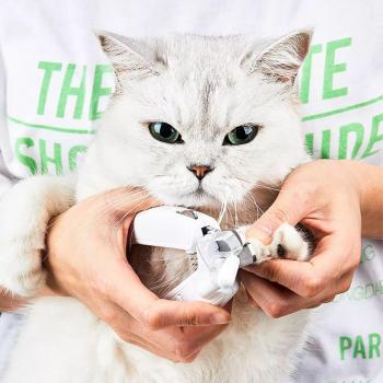 PETKIT LED Illuminated Pet Nail Clippers