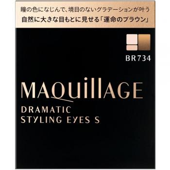 Dramatic Styling Eye Shadow Shiseido