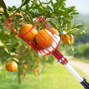 Recolección Fácil: Cesta Profunda para Jardín