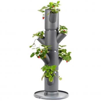 Gusta Garten Sissi Erdbeer-Hochbeet 27 cm mit Wasserleitsystem