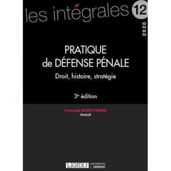 Pratique de défense pénale : Droit, histoire, stratégie