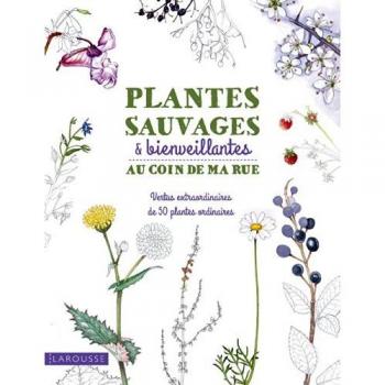 Plantes sauvages & bienveillantes au coin de ma rue