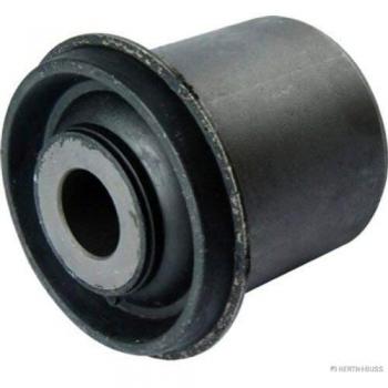 HERTH+BUSS JAKOPARTS J4205114 Supporto MR992256