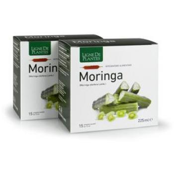 Moringa 15 fiale bevibili 15 ml