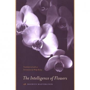 Vitalsource Technologies, Inc. The Intelligence Of Flowers
