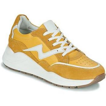 Citrouille et Compagnie Sneakers Milko