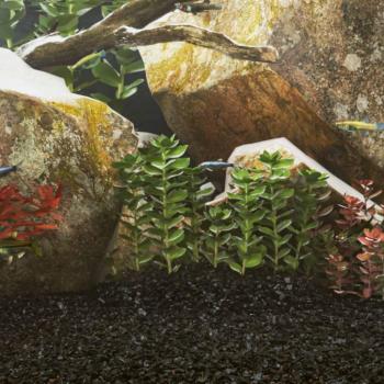 VidaXL 10 kg Black Sand for Aquariums 0.2-2 mm