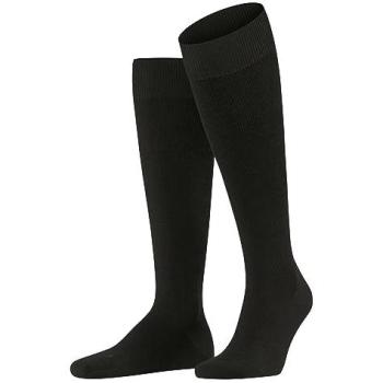 FALKE Wool Energy Boost Knee Socks – Men, 8-9, Brown