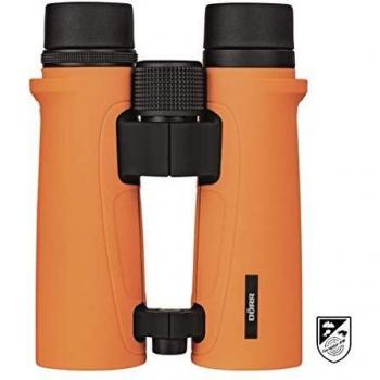 DÖRR Fernglas Signal XP 8 x 42 mm Dachkant Orange