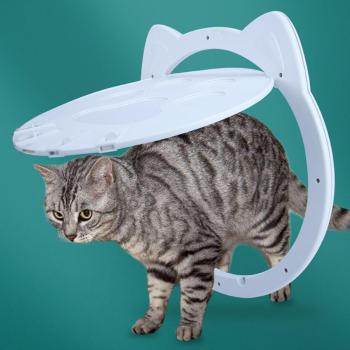 4-Way Locking Cat Flap