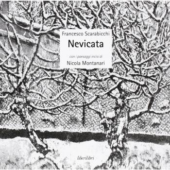 Nevicata