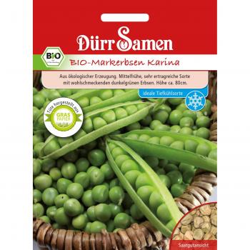 Semences de petits pois ridés bio Karina