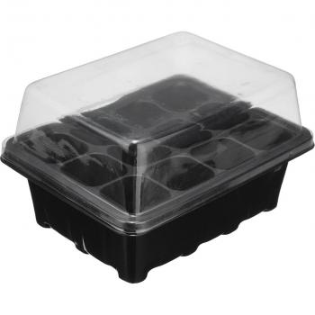 12-Hole Plant Seedling Tray
