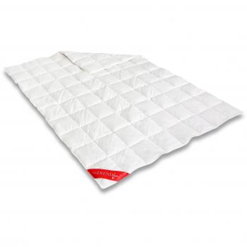 Badenia Trendline Duvet – Feder‑Daune Decke, 440 g, 155 × 220 cm