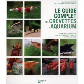 Le guide complet des crevettes d'aquarium