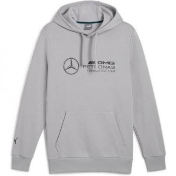 PUMA Team Silver Gray Hoodie Herren