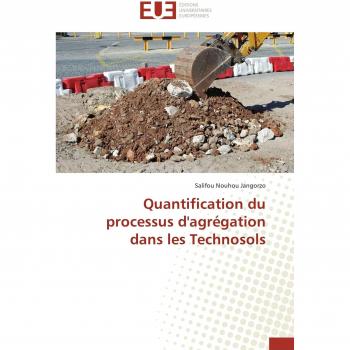 Jangorzo, Salifou Nouhou: Quantification du processus d'agrégation dans les Technosols