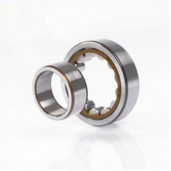 Cuscinetto a rulli NU221 ECP 190mm AD
