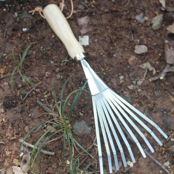 Edelstahl-Grasrechen 9‑Zähne – Gartenhandwerk Holzgriff