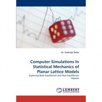 Computer Simulations In Statistical Mechanics of Planar Lattice Models