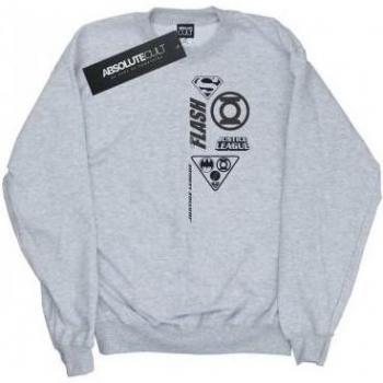 DC Comics Jongens Justice League Sweatshirt