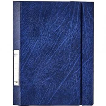 Box di Lavoro Blu Esselte Daily