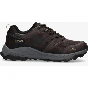Hi Tec Scarpe Toubkal Low WP
