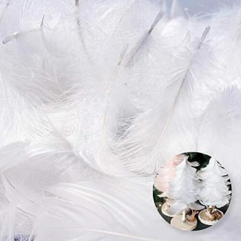Wedding White Feather Accents