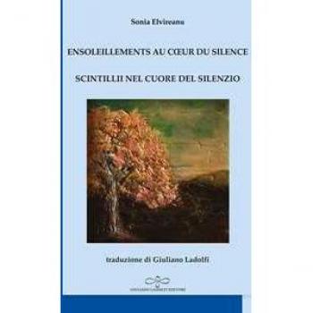 Ensoleillements au coeur du silence-Scintillii nel cuore del silenzio