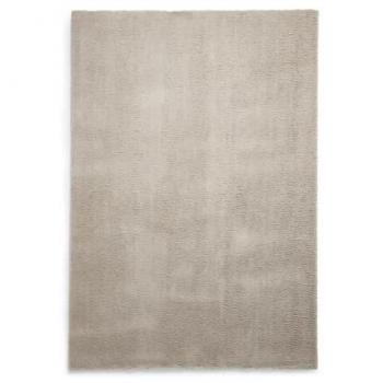 CleanCoat Shag Rug