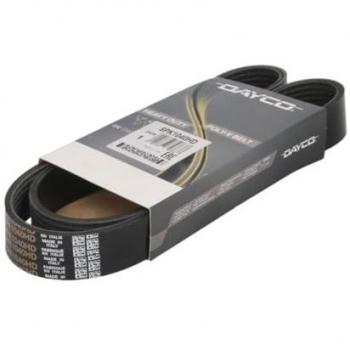 Correa poli V multicanal DAYCO 8PK1040HD