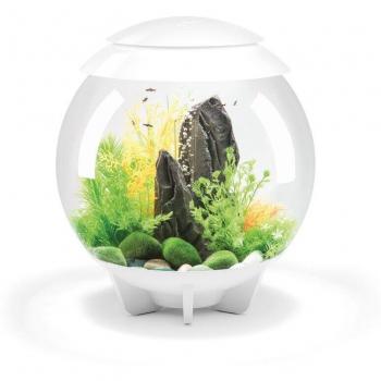 BiOrb HALO 30 MCR LED 8‑Gallon White Fish Bowl