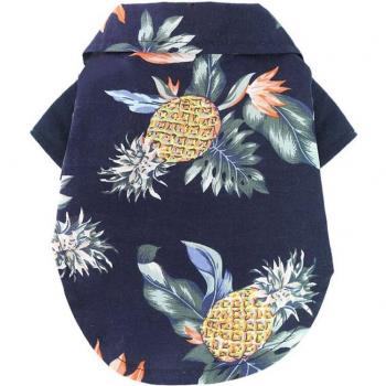 Cat Summer Shirt