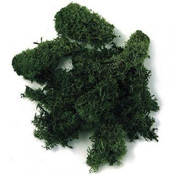 Vert Foncé Mousse d'Islande 100 g Crèches de Noël