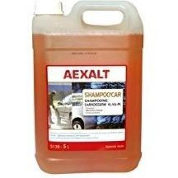 Shampooing de lavage pour carrosserie