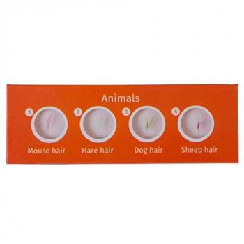 Set di Vetrini Animali Levenhuk LabZZ C12
