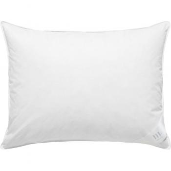 Cuscino Apollo ERWIN M. 50x70 cm piume/penne bianco