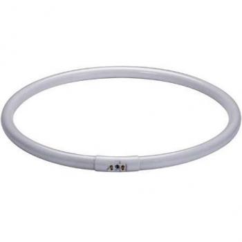 T5 Warmlichtring Paulmann 88446 – 55 W, 2 GX13, 2700 K