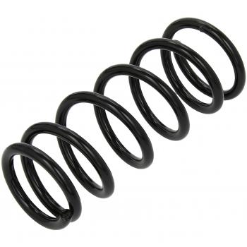 Lesjofers 4235734 Coil Spring Rear