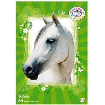 Quaderno Multicolore Herlitz 75 Fogli