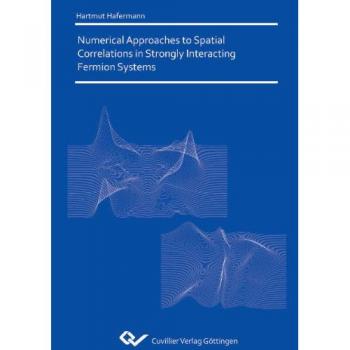 Numerical Approaches to Spatial Correlations in Strongly Interacting Fermion Systems