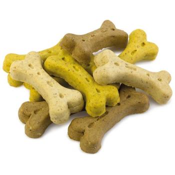 Arquivet Galletas Huesos