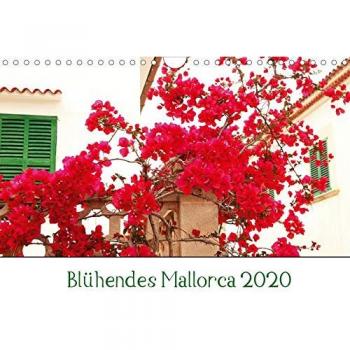 Blühendes Mallorca 2020