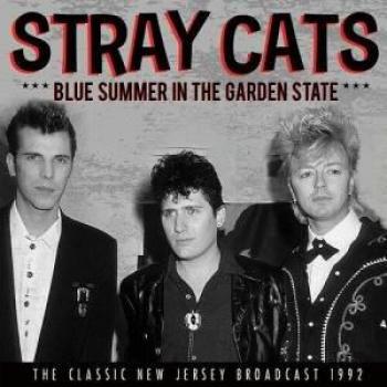 Blue Summer: Émission Radio 1992