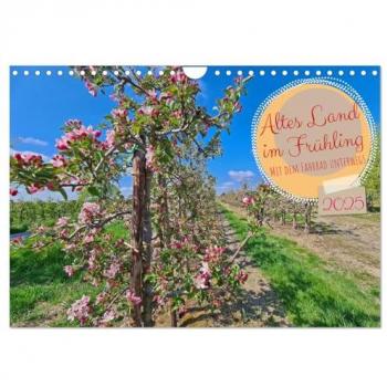 Altes Land im Frühling