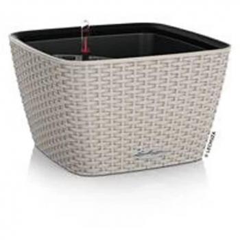 Lechuza Fioriera BACINO Cottage 30x30 cm sabbia