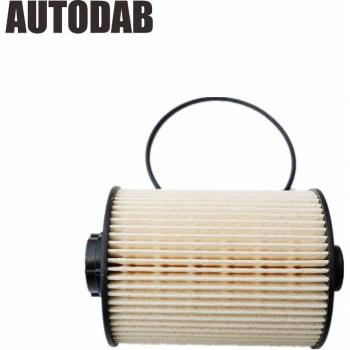 FOTON TOPLANDER 2.8T Diesel Filter