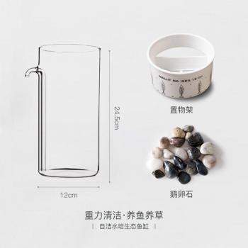 Eco-Friendly Mini Fish Tank