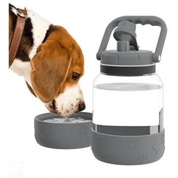 Asobu Bowl Chien Barkely