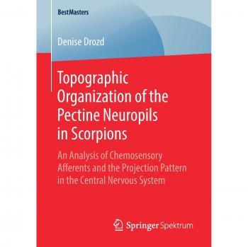 Topographic Organization of the Pectine Neuropils in Scorpions: An Analysis of Chemosensory Afferents and the Projection Pattern in the Central Nervous System